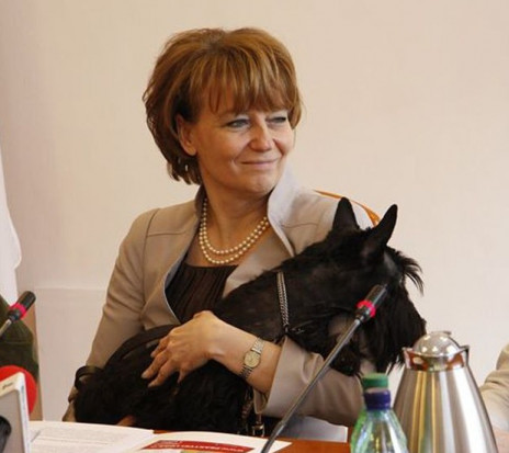 Hanna Zdanowska - prezydent miasta Łódź po wyborach samorządowych 2014