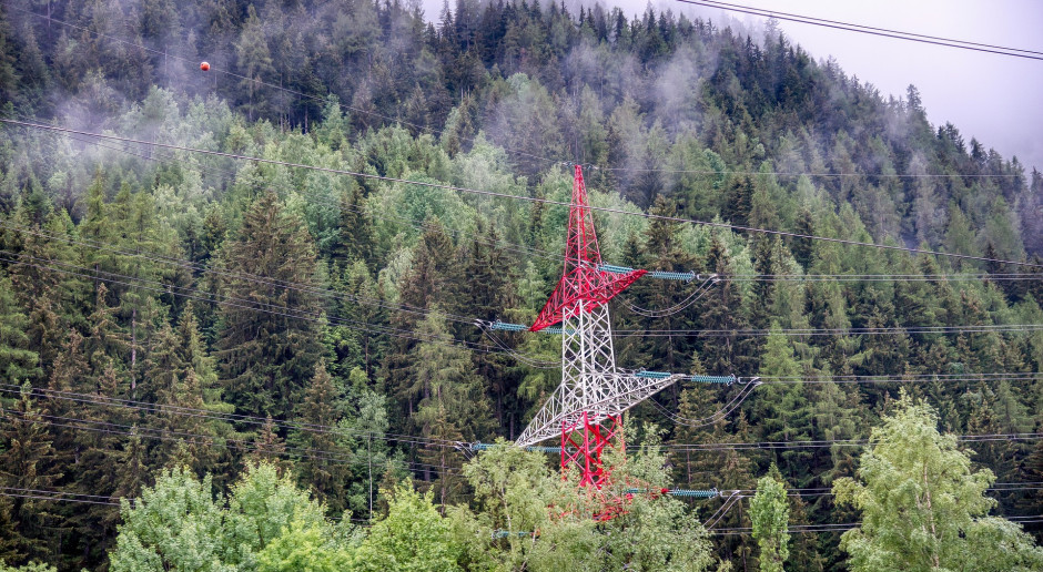 PSE i Lasy Państwowe będą współpracować przy budowie sieci energetycznych