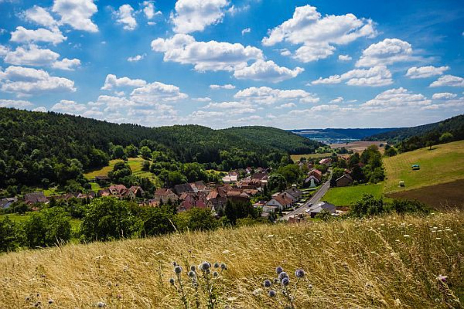 Kartkówka krajobrazy polski. Польша село Каменица Польска. Велика Польска фото.