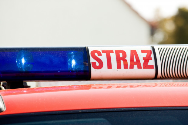 W kacji gaśniczej uczestniczyło 731 strażaków  (fot. Shutterstock)