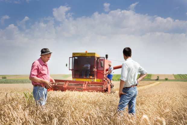 Udział polskiego rolnictwa w produkcji dodanej brutto wynosi według Eurostatu ok. 5,5 proc. (Fot. Shutterstock)
