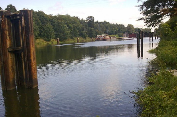 Mieszkańcy Gliwic i Pyskowic w ostatnich dniach zaobserwowali niepokojące zdarzenia na Kanale Gliwickim i Kłodnicy(Fot. wikimedia)