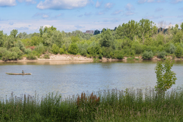 Także w rzekach Wielkopolski pojawiły się śnięte ryby   fot. Shutterstock