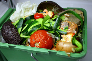 Mieszkańcy Wrocławia będą mogli zaoszczędzić kompostując bioodpady