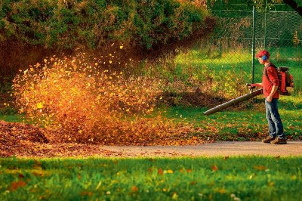 Dmuchawa do liści powoduje hałas ok. 100 decybeli (fot. Shutterstock)