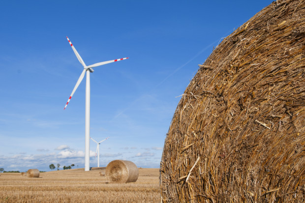 Rozpoczęła się budowa jednej z największych w Polsce farm wiatrowych, o łącznej mocy 145 megawatów (fot. Shutterstock)