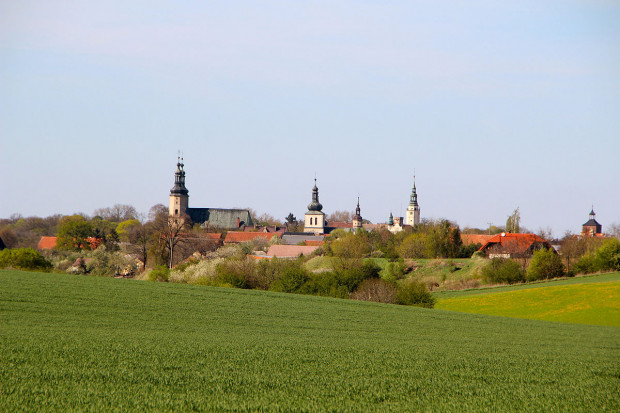 Panorama Głogówka  (fot. wikipedia.org/Ralf Lotys - Sicherlich)