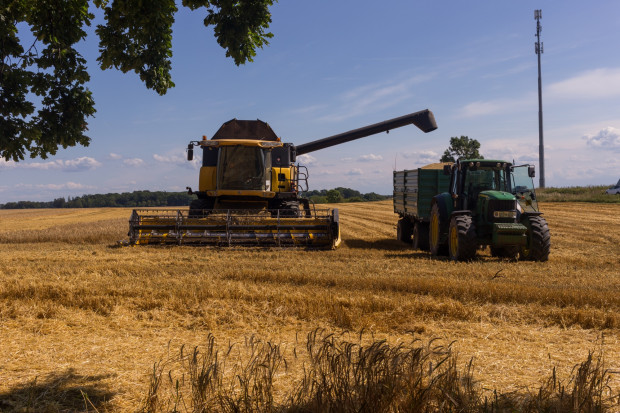W okresie od 11 kwietnia do 10 czerwca susza rolnicza wystąpiła już w 14 województwach. Branża rolno-spożywcza musi otrzymać wsparcie (fot. Shuttertock)