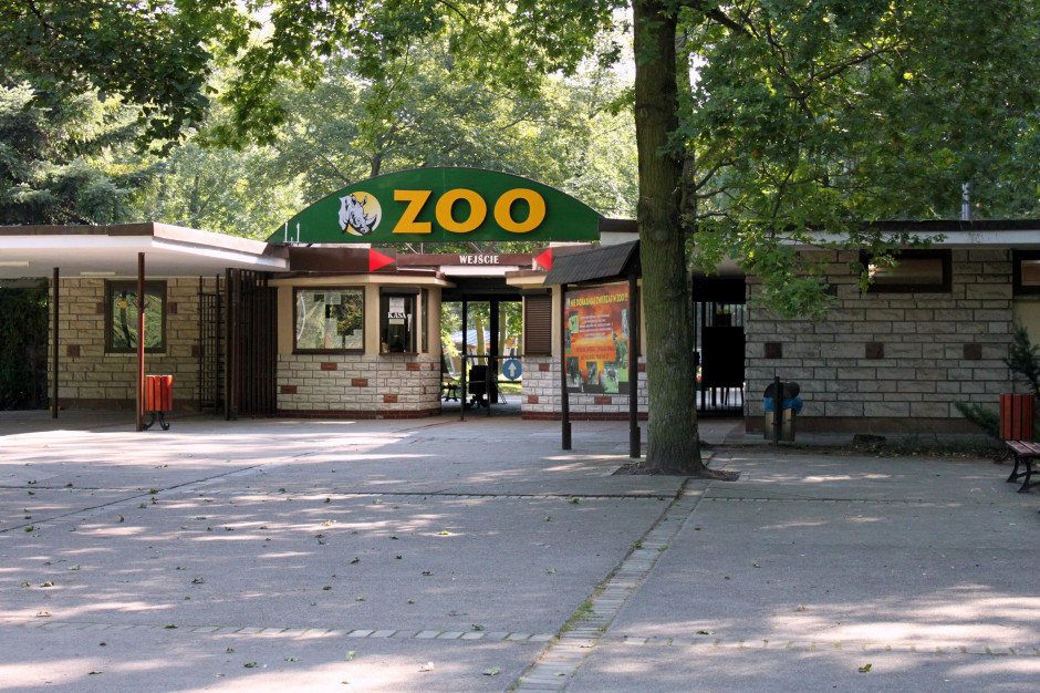 Poznańskie zoo z powodu silnego wiatru będzie zamknięte