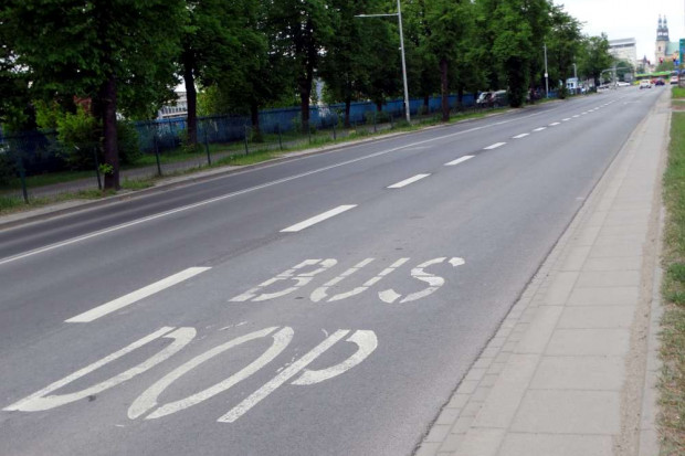 Buspas w Poznaniu (Fot. ztm.poznan.pl)