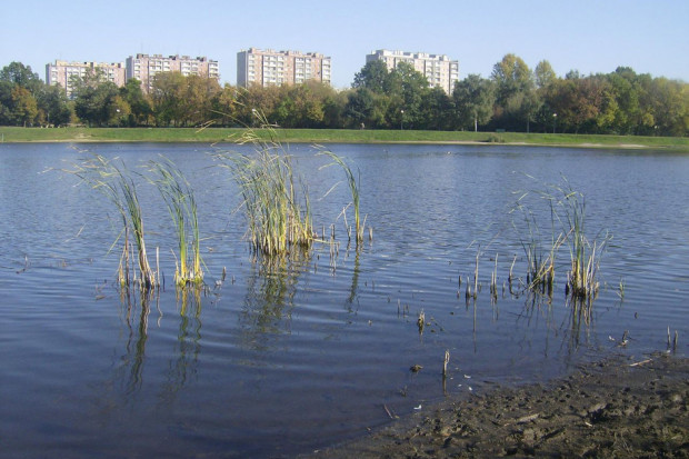 Zalew w Borkach czeka gruntowne oczyszczanie (fot. Wikipedia/KamStak23/CC BY 3.0)