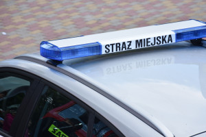 Informacje o przeciwdziałaniu przemocy można znaleźć również na stronie bezprzemocy.krakow.pl. (Fot. Shutterstock)