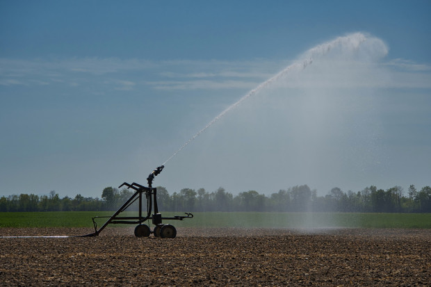 Prezydent powiedział, że chce, aby za sprawą nowej ustawy wprowadzono "cały szereg działań ułatwiających rolnikom prowadzenie gospodarki wodnej". (fot. pixabay)