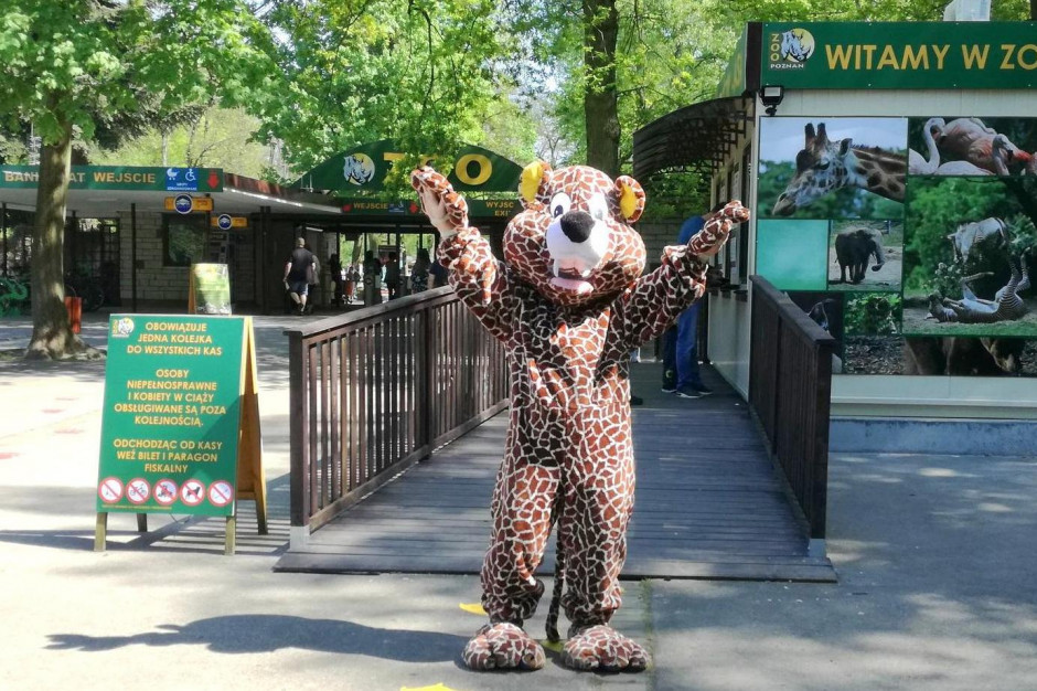Poznań: Od poniedziałku ogród zoologiczny ponownie otwarty