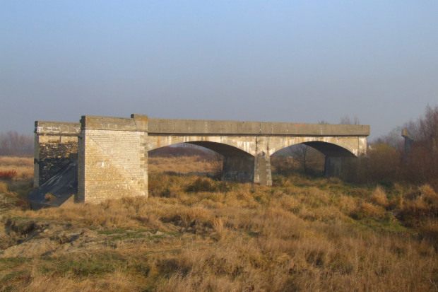 Ruiny mostu nad Odrą  (fot. wikipedia.org/Pudelek/Marcin Szala)