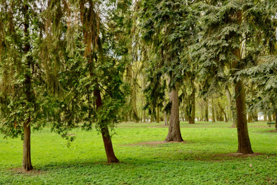 Park Kopernika (fot. gorzow.pl/Bartłomiej Nowosielski) Park Kopernika (fot. gorzow.pl/Bartłomiej Nowosielski)