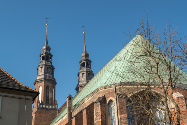 Pierwszym efektem współpracy była renowacja kaplicy św. Jana Nepomucena w Katedrze Opolskiej. (fot. Ermak Oksana / Shutterstock.com)