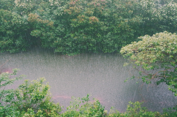Deszcze nawalne nie spowodują, że problem suszy zniknie, dlatego trzeba odpowiedzialnie gospodarować zasobami wodnymi - sygnalizuje ŚZGiP (Fot. pixabay.com)