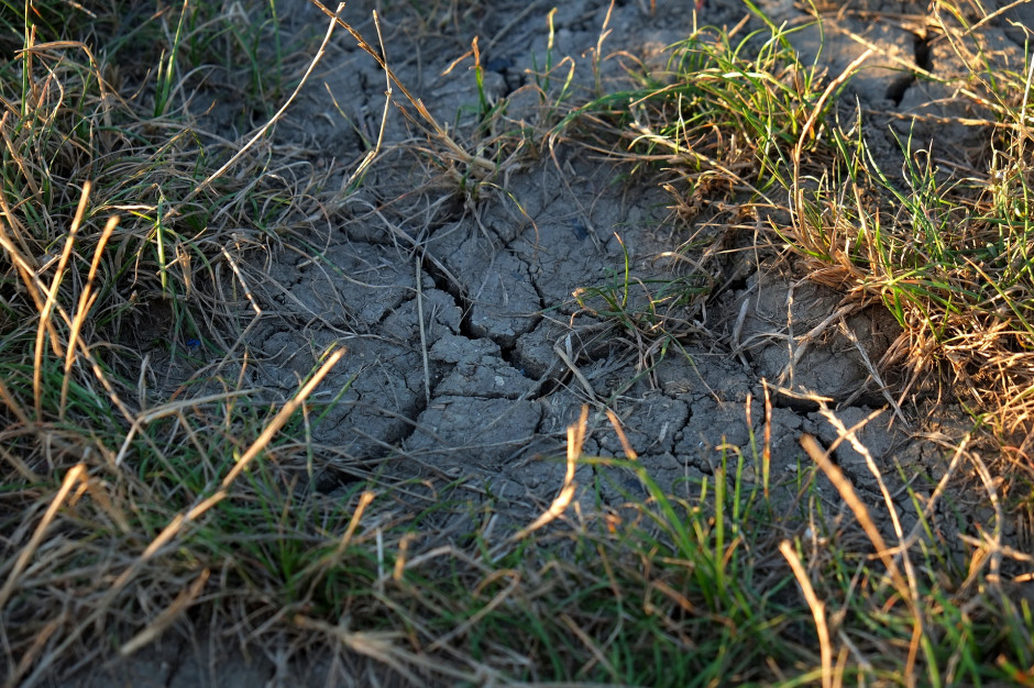 Niemal 40 procent obszarów rolnych i leśnych w Polsce jest ekstremalnie i silnie zagrożonych wystąpieniem suszy rolniczej (fot. pixabay)