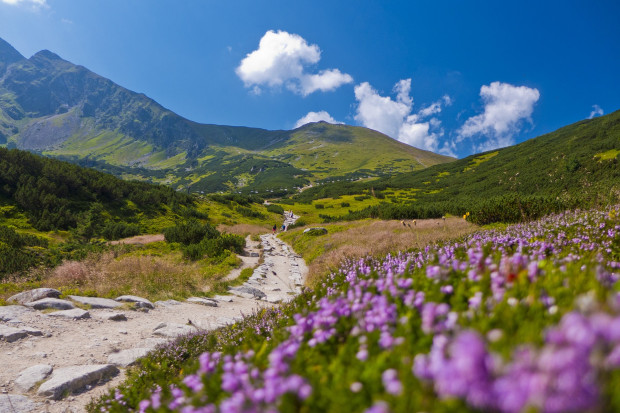 Tatry (fot. pixabay)