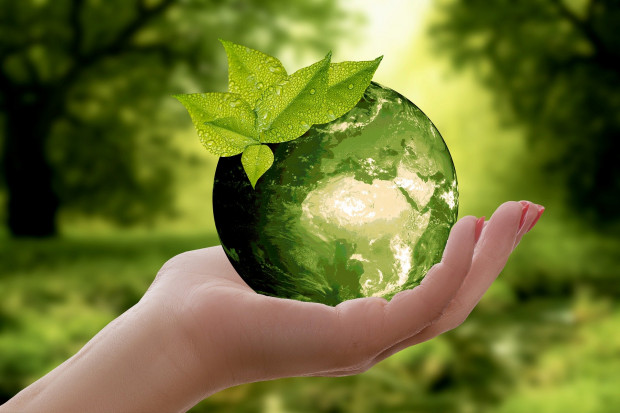 Działania na rzecz ochrony środowiska i klimatu będą skuteczne, gdy będą prowadzone wielopłaszczyznowo (fot. pixabay)