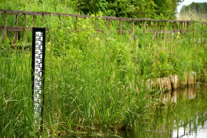 Ostrzeżenia pierwszego stopnia dotyczą rzek w południowej części województwa lubelskiego. (Fot. Shutterstock)