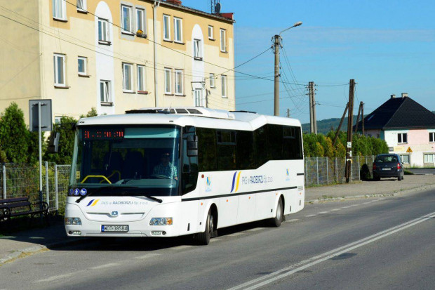 Na dofinansowanie połączeń autobusowych w 2021 r. rząd przeznaczył 800 mln zł. (fot. www.powiatwodzislawski.pl/ Wojciech Świerkosz)
