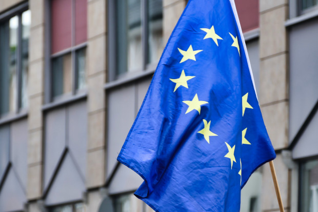 W ilu miastach zawisną unijne flagi 9 grudnia? (fot. pixabay)