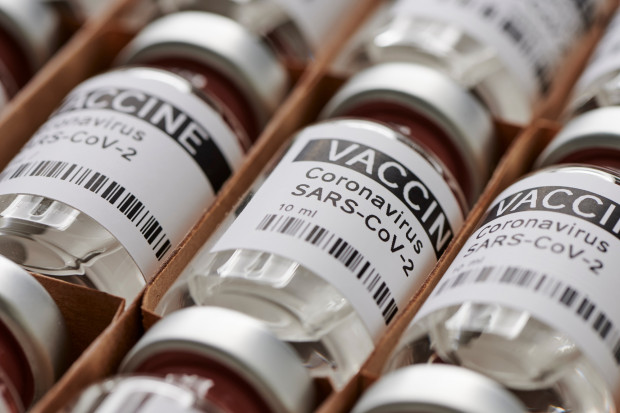 Do Polski dostarczono łącznie 5 728 100 dawek szczepionek, do punktów trafiło 4 904 750. Fot. Shutterstock