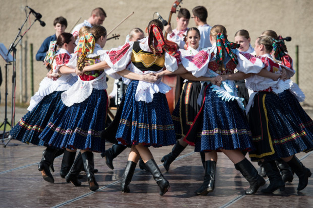 Dotacja wynosiła od 3 do 5 tys. zł w zależności od liczebności koła (fot. pixabay)