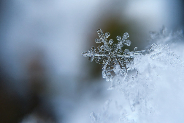 Temperatura w Suwałkach spadła minionej nocy do minus 18,2 stopni Celsjusza. Przy gruncie było minus 21 stopni (fot. pixabay)