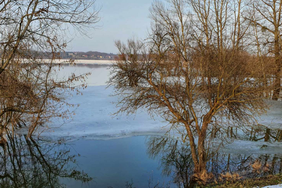 Wisła powyżej Płocka (fot. Wody Polskie) Wisła powyżej Płocka (fot. Wody Polskie)