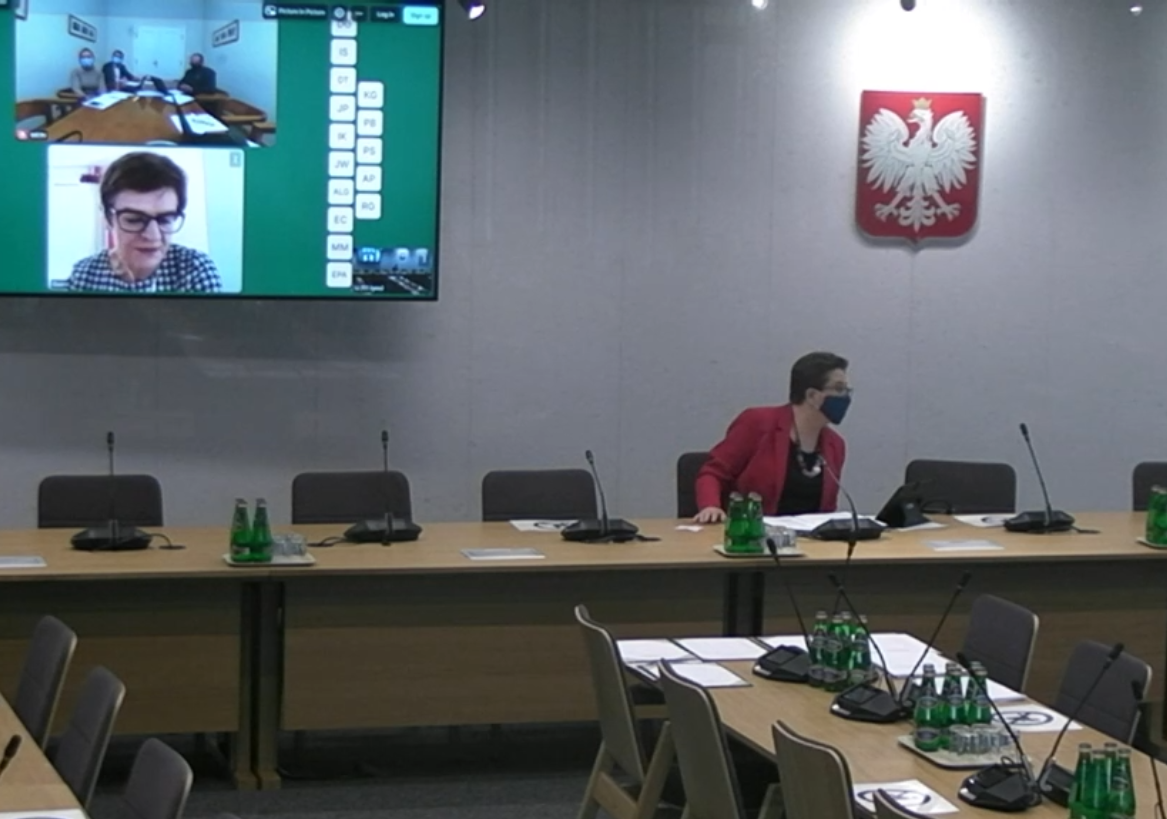 Posiedzenie podkomisji stałej ds. jakości kształcenia i wychowania na temat wychowania patriotycznego prowadziła Katarzyna Lubnauer (fot. Sejm). 