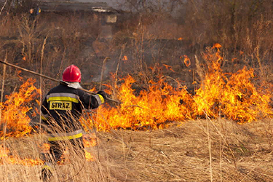 Za wypalanie traw grożą kary (fot. twitter.com/ARiMR_GOV_PL)