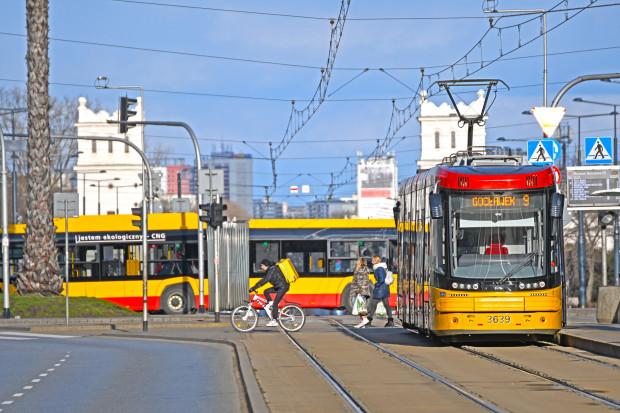 Dwie stołeczne radne chcą, aby stołeczne tramwaje miały sowich patronów (Fot. Shutterstock.com)