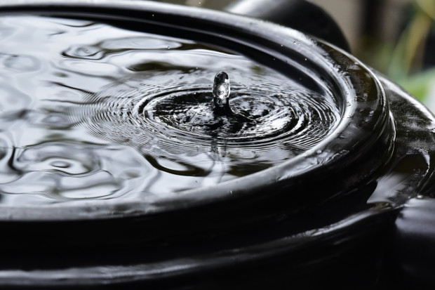 Każdy może skuteczniej oszczędzać wodę na własnej posesji - uważają władze Poznania (Fot. Shutterstock.com)