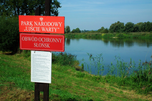 PN Ujście Warty to najmłodszy polski park narodowy – powstał w 2001 roku. (fot. MOs810, CC BY-SA 4.0)