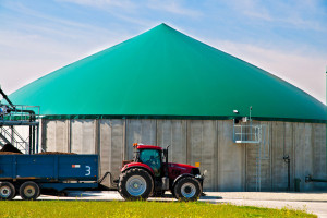 W Polsce dominują biogazownie rolnicze, a potrzebujemy komunalnych (fot. pixabay)