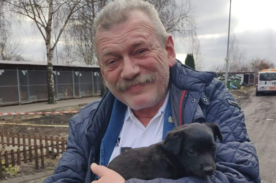 Wójt nie chciał powiedzieć, dlaczego oddał psa do schroniska (fot. facebook.com/Biuro-Schroniska-dla-Bezdomnych-Zwierząt-Urząd-Miasta-Kalisza)