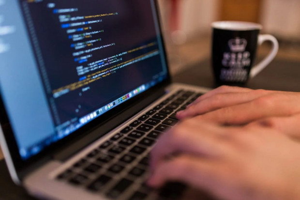 Specjaliści wytykają błędy w spisowym formularzu (fot. pixabay.com)