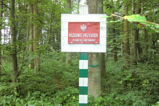 PSL wchc wrócić do tematu subwencji środowiskowej (fot. runowo.torun.lasy.gov.pl)