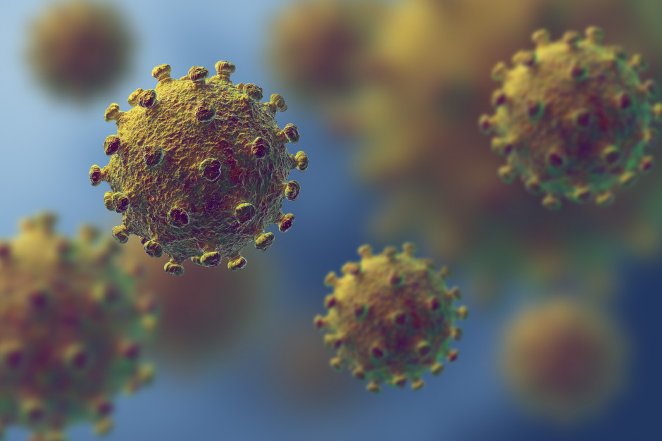 W Polsce wykryto trzy przypadki brazylijskiego wariantu koronawirusa