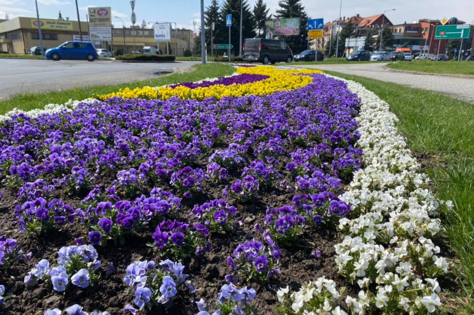 Zdaniem burmistrza tradycji w ten sposób stanie się zatem zadość, a przyroda i estetyka miasta nie ucierpi (Fot. FB/BartoszKaliński) Zdaniem burmistrza tradycji w ten sposób stanie się zatem zadość, a przyroda i estetyka miasta nie ucierpi (Fot. FB/BartoszKaliński)