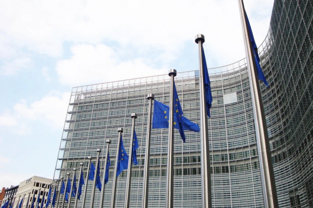 Przewodnik przygotowała i opublikowała Komisja Europejska (Fot. pixabay.com)