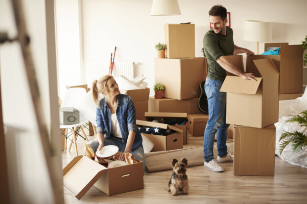 Średnia wielkość mieszkania lub domu zajmowanego przez jedno gospodarstwo domowe wynosi nieco ponad 90 m kw.  (Fot. Shutterstock.com)