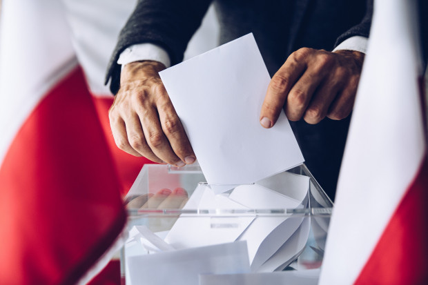 Sześciu kandydatów zostało zarejestrowanych w przedterminowych wyborach burmistrza Olsztynka (Fot. Shutterstock.com)