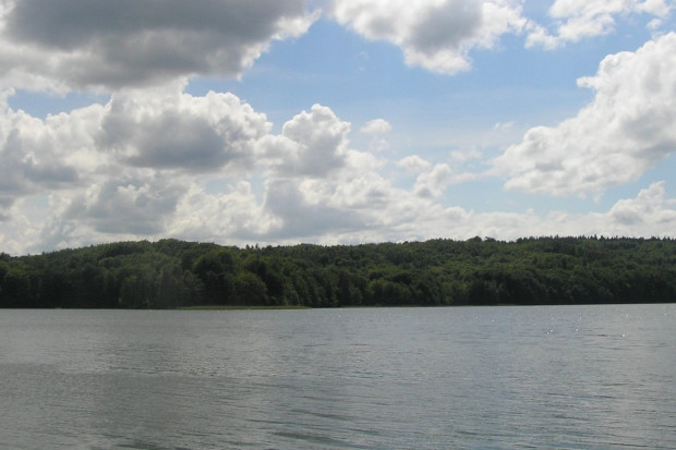 Sinice są m.in. nad Jeziorem Ostrzyckim (fot. wikipedia.org/kkic)