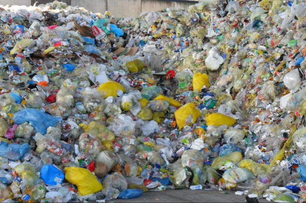 Polski paradoks - brakuje surowca do recyklingu, a miliony lądują na śmietniku - Vimarsana News