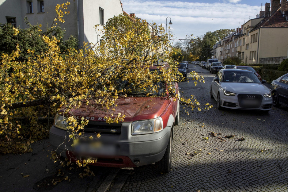 Zniszczenia na ulicy Kosynierów Gdyńskich we Wrocławiu, po wichurach, które przechodzą nad Dolnym Śląskiem (fot. PAP/Aleksander Koźmiński)