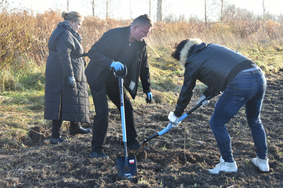 Na działce przy ulicy produkcyjnej w Białymstoku radni i urzędnicy posadzili już około 150 drzew (fot.bialystok.pl) Na działce przy ulicy produkcyjnej w Białymstoku radni i urzędnicy posadzili już około 150 drzew (fot.bialystok.pl)